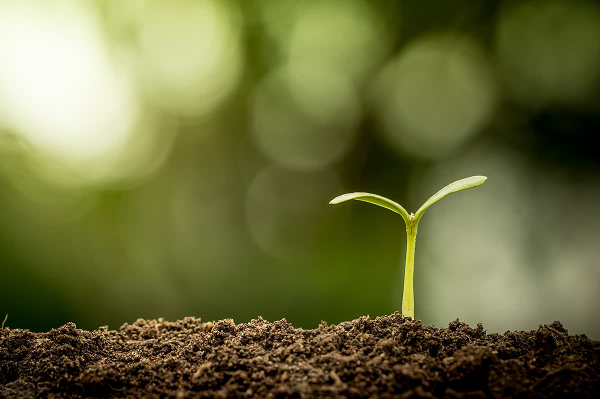 why does it matter image