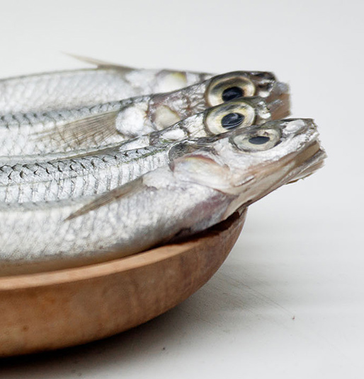 Essential fatty acids (EPA, DHA & GLA)