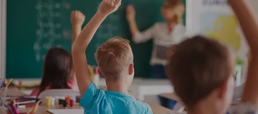 Identifying Learning Difficulties