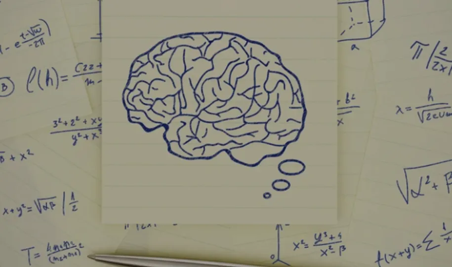 How does the brain work?