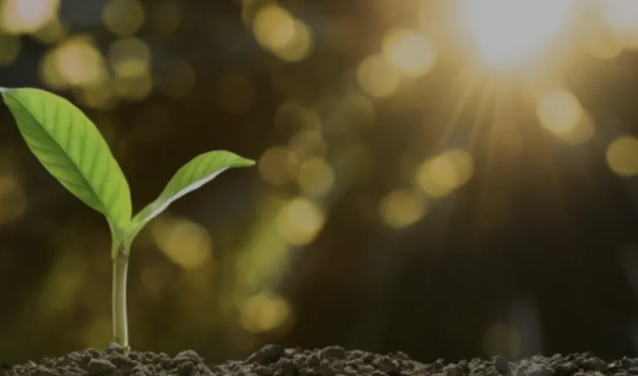 Natural health products : The science behind the right dose